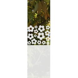 ROZ16 59x135 naklejka na okno wzory roślinne i zwierzęce - kwiaty